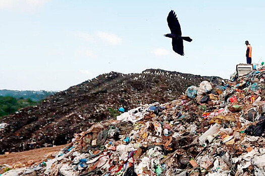 Самый большой "мусорный остров" на планете достиг размеров Франции
