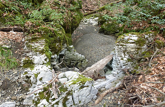 В Сочи 21-летний парень приехал в лес на автомобиле каршеринга и заблудился