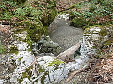 В Сочи 21-летний парень приехал в лес на автомобиле каршеринга и заблудился