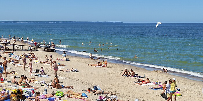 Турэксперт объяснил, как во время купания избежать встречи с акулой