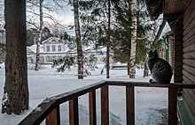 Абрамцево. Сколько сегодня стоят дома и дачи рядом со знаменитой усадьбой Мамонтова?