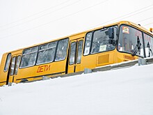 Сразу несколько школ получили угрозы о взрыве на украинском