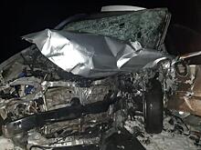С помощью ДНК вологодские полицейские установили виновника ДТП с четырьмя погибшими