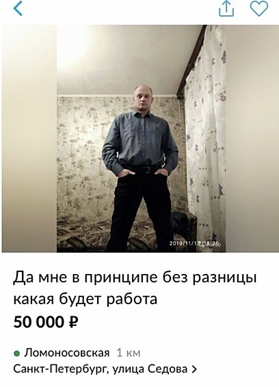 Работник-универсал. Отличается сговорчивостью и неприхотливостью.