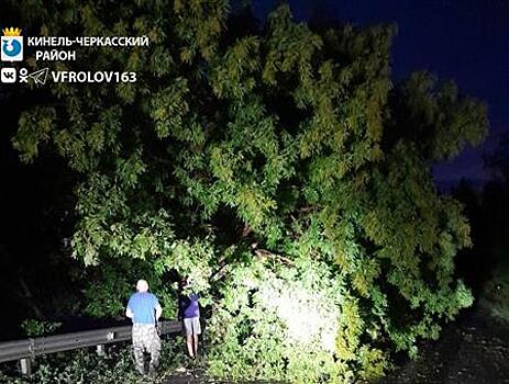 Кинель-Черкасский район пострадал от урагана