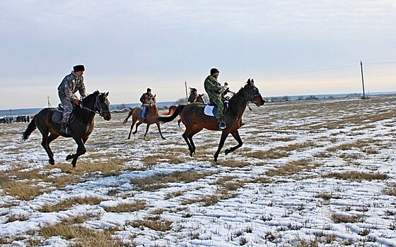 Балерина, Чекист и Лёлик. В рязанском селе устроили скачки