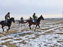 Балерина, Чекист и Лёлик. В рязанском селе устроили скачки