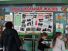Драку школьников расследуют во Владивостоке: дети помирились, разбирательство не закончилось
