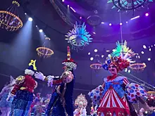 В Самаре цирк шапито наказали за гастроли