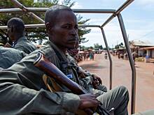 Дипломат Евстигнеева: обвинения против россиян в ЦАР не имеют никаких оснований