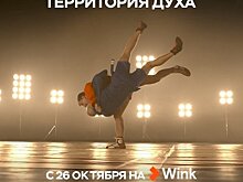 Больше, чем борьба: Wink.ru покажет документальный сериал «Самбо - территория духа» (6+)