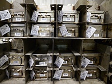 Страны Восточной Европы рассматривают отказ от российского урана. Чем это может обернуться для отечественной экономики