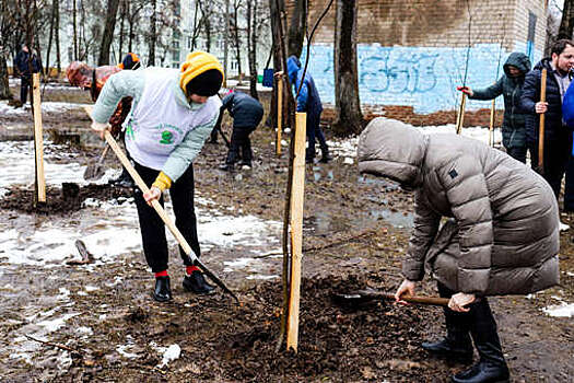 В Орле и Краснодаре высадку деревьев посвятили 80-летию подвига военного летчика Маресьева