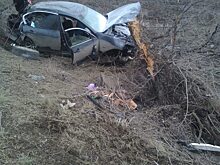 На саратовской трассе водитель «Газели» уснул и протаранил дерево