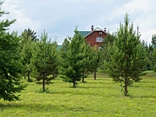 Прокуратура "щелкнула по носу" челябинского общественника