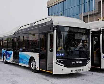 За месяц электробусы Петербурга перевезли более 100 тысяч пассажиров
