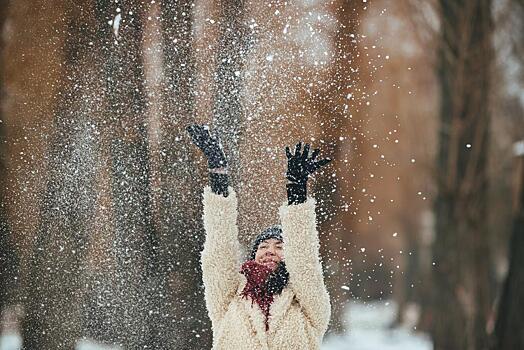 В Новосибирске пошёл первый крупный снег