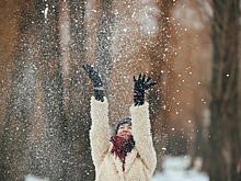 В Новосибирске пошёл первый крупный снег