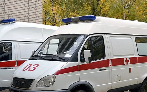 Рязанские парашютисты пострадали при крушении самолёта в Кемеровской области