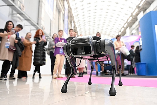 До 14 сентября гостей "Москвы 2030" будут встречать робособаки Пайка и Квант