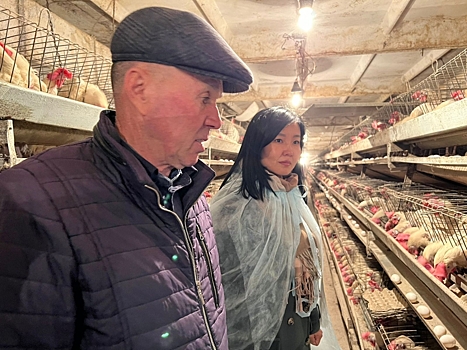 Читинскую птицефабрику и предприятие «Жалсабон» поддержали власти Забайкалья