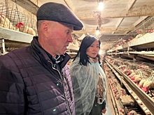 Читинскую птицефабрику и предприятие «Жалсабон» поддержали власти Забайкалья