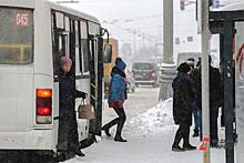 Свердловские власти объяснили, введут ли QR-коды в общественном транспорте