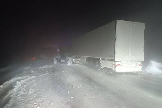 В Саратовской области 148 человек эвакуировали с трассы из-за непогоды