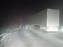 В Саратовской области 148 человек эвакуировали с трассы из-за непогоды