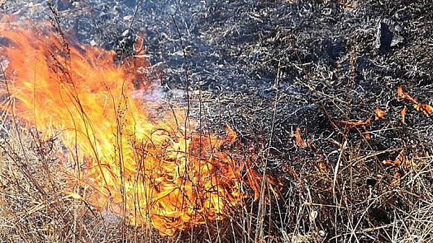 На Черноморском побережье Кубани прогнозируют максимальный уровень пожароопасности