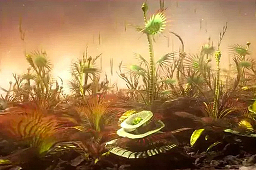 Доказано спонтанное появление жизни