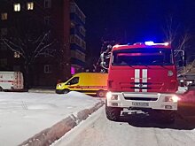 Во Владимирской области произошел пожар на пилораме