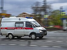 В Волжском подростки угодили на "семерке" в дерево