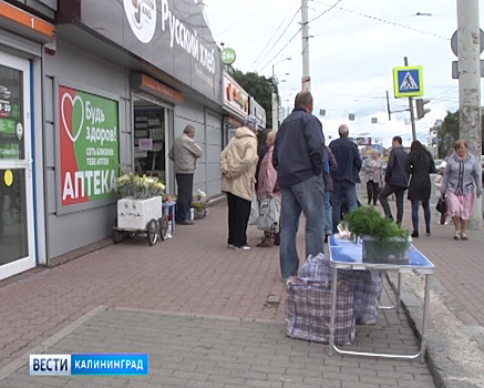 Власти Калининграда намерены в десятки раз увеличить число штрафов за парковку на газонах