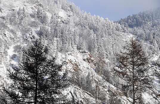 Новая интрига: загадочное исчезновение Усольцевых обрастает подробностями
