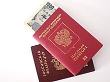 Сколько стран россияне могут посетить без виз