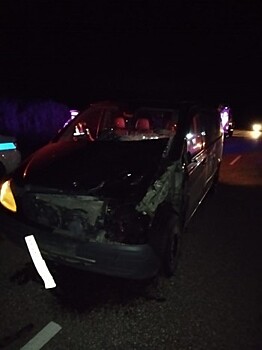 Иномарка сбила корову в Калужской области