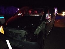 Иномарка сбила корову в Калужской области