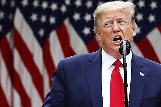 Президент США Трамп посетил UFC 314, приехав на арену к бою Никиты Крылова