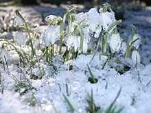 Ученые Института природопользования НАН рассказали, какой будет зима в Беларуси
