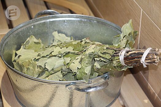 В 2024 году Удмуртия стала в два раза больше экспортировать банные веники и сушеные травы