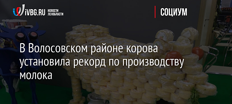 В Волосовском районе корова установила рекорд по производству молока
