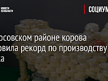 В Волосовском районе корова установила рекорд по производству молока