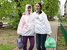 Стадо баранов напало на волонтёра в Выксе