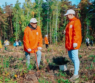 Предприятия ТМК в Челябинске присоединились к экологической акции &ldquo;Сохраним лес&rdquo;