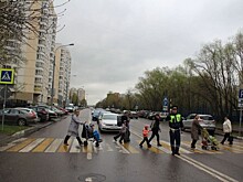 24 апреля пройдет основной этап городского профилактического мероприятия «Пешеходный переход»