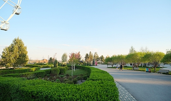 В ЦПКиО Волгограда 60-метровую башню запустили с мешками вместо людей