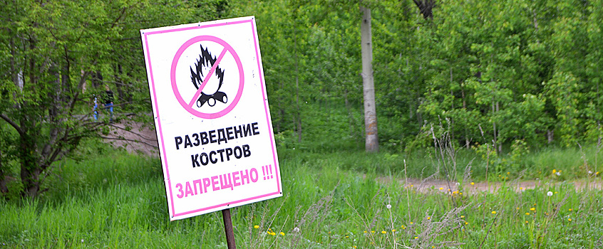 До конца мая в Удмуртии введут особый противопожарный режим