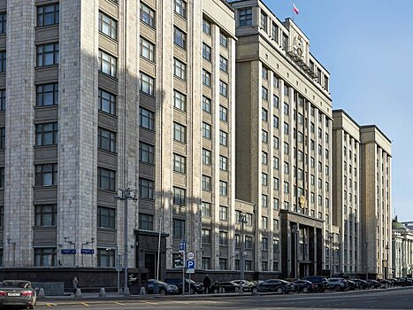 ГД приняла закон об усилении наказания за вовлечение детей в диверсии