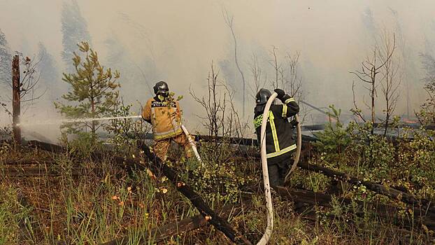Огненная атака: какие меры безопасности надо соблюдать на природе и в городе в пожароопасный период